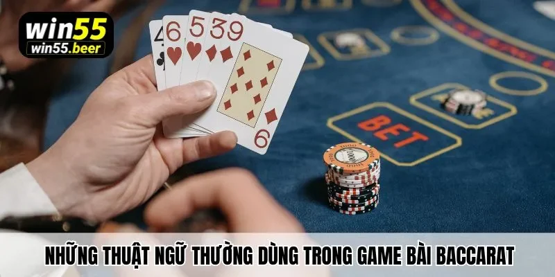 Những thuật ngữ thường dùng trong game bài Baccarat bạn cần nắm